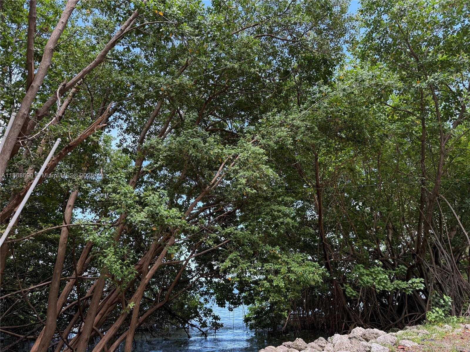 Small Image of 2000 NORTH BAYSHORE DR #218, Miami Number 53