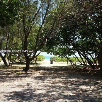 Small Image of 7920 HARDING AVE #4, Miami Beach Number 6