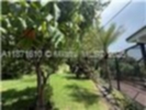 Small Image of 9321 SOUTH WEST 177TH ST #na, Palmetto Bay Number 19