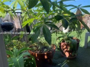Small Image of 3410 CORAL WAY #PH-02, Miami Number 12