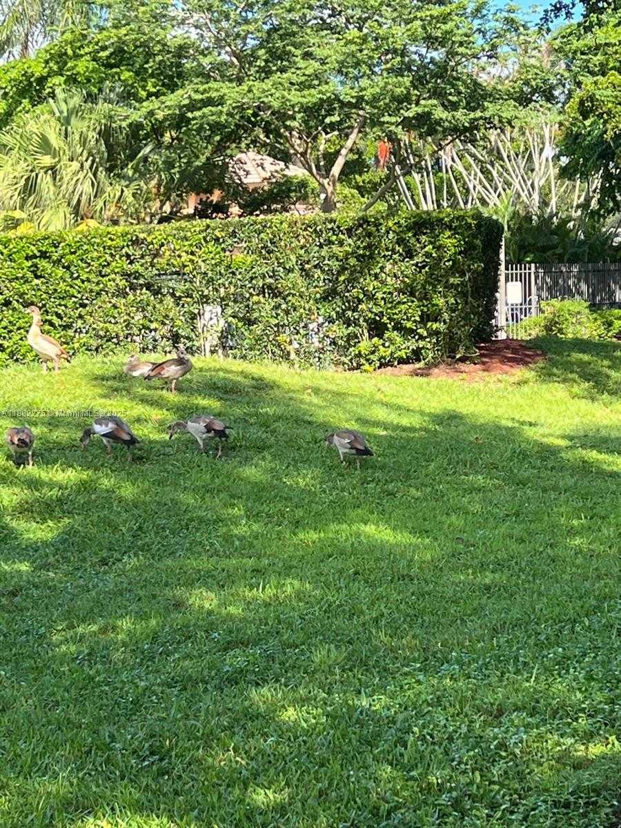 Small Image of 2957 MYRTLE OAK CIR, Davie Number 20