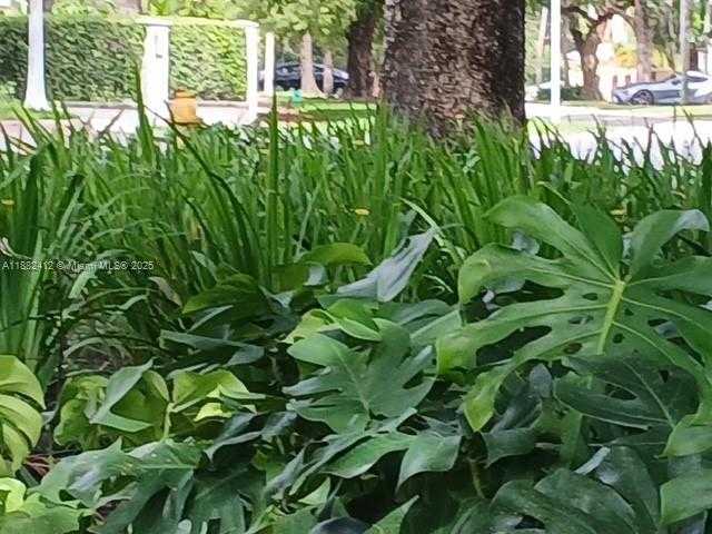 Small Image of 2828 SEGOVIA ST #Suite 1, Coral Gables Number 22