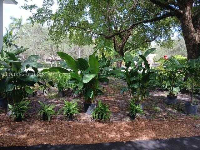 Small Image of 2828 SEGOVIA ST #Suite 1, Coral Gables Number 23