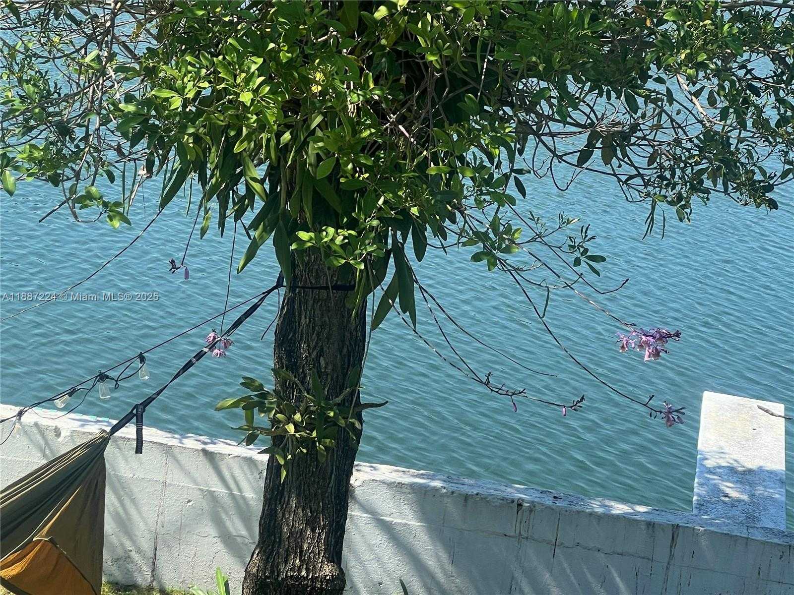 Small Image of Miami Shores Number 58