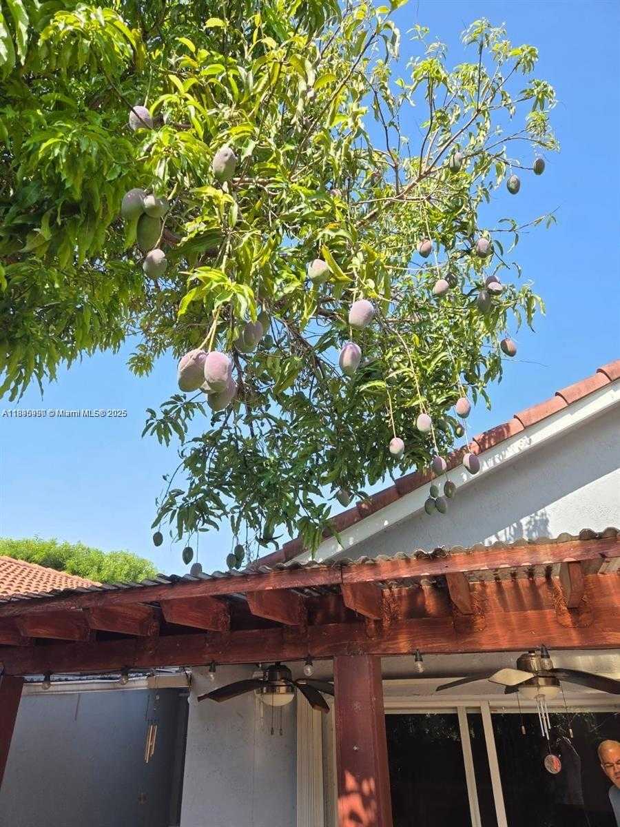 Small Image of 9982 SOUTH WEST 162ND CT, Miami Number 11