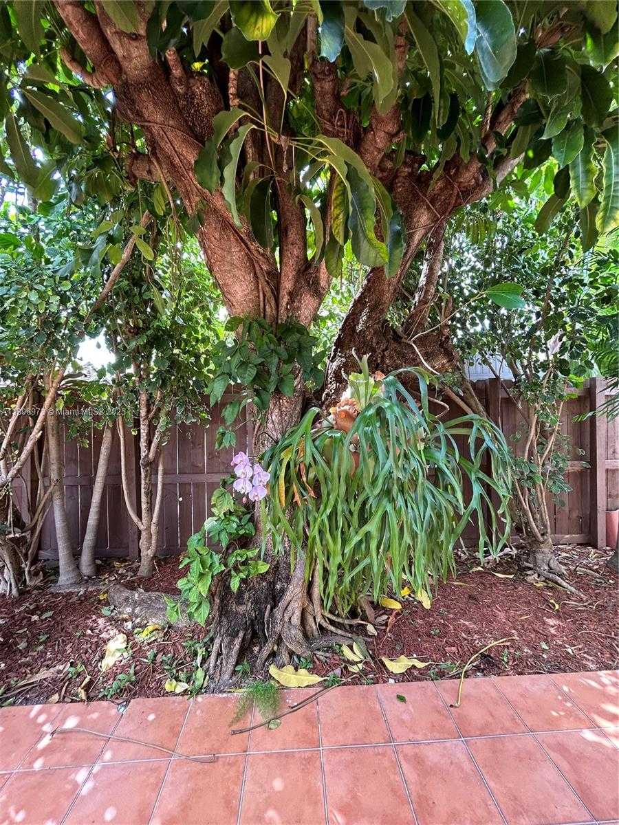 Small Image of 8910 SOUTH WEST 4TH LN, Miami Number 48
