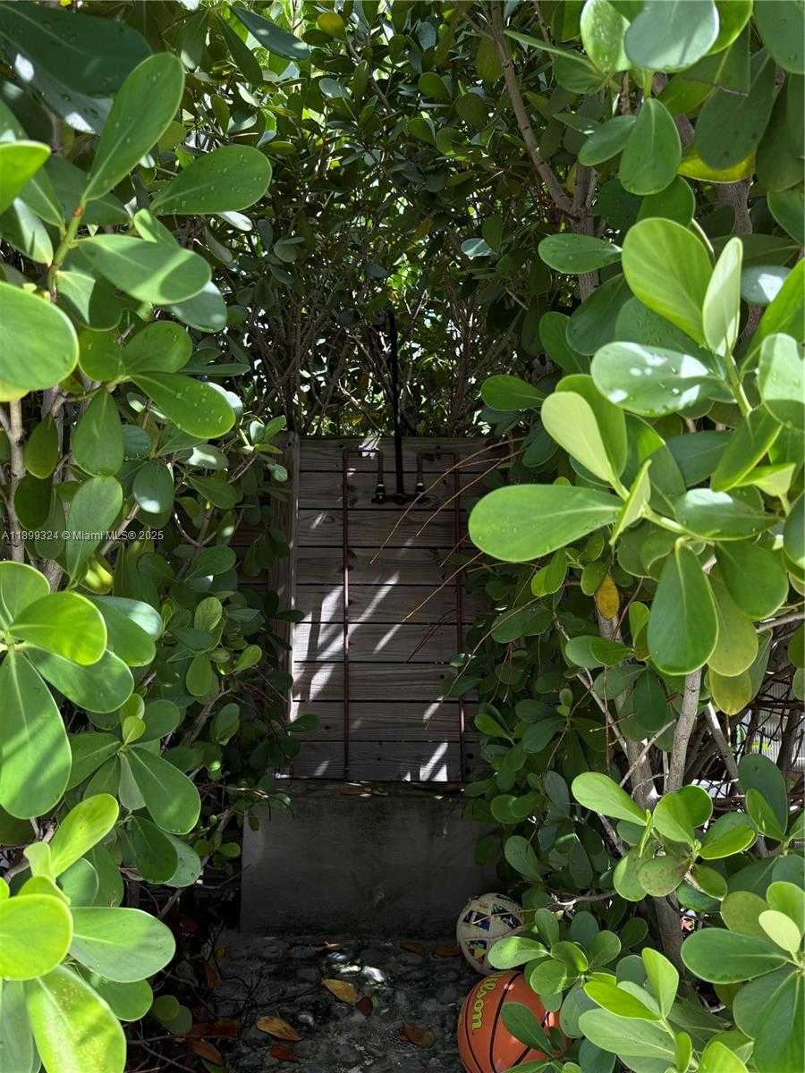 Small Image of Miami Shores Number 40