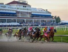 Small Image of 329 SOUTH EAST 3RD ST #502S, Hallandale Beach Number 71