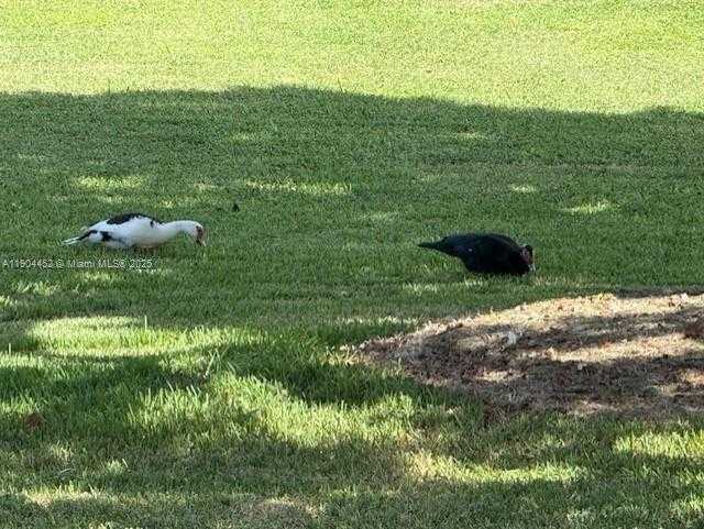 Small Image of 515 WEST PARK DR #2, Miami Number 23