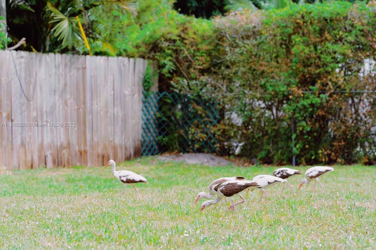 Small Image of 1075 NORTH EAST 120TH ST, Biscayne Park Number 8