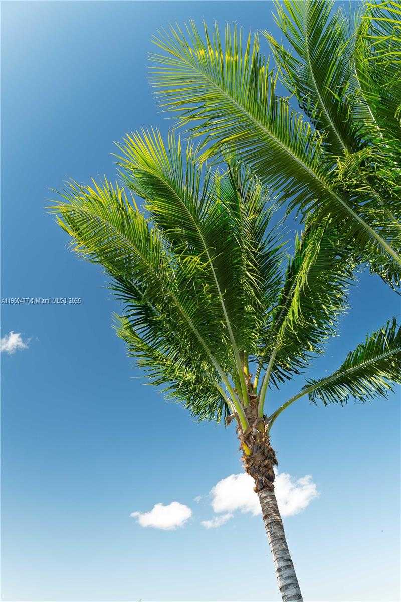 Small Image of 309 SOUTH RIVERSIDE DR, Pompano Beach Number 23