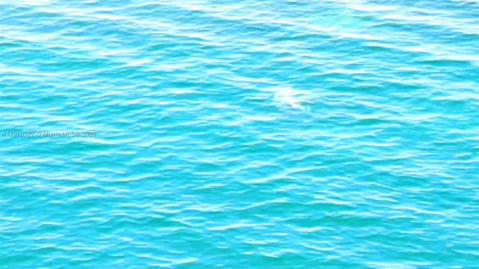 Small Image of 1625 KENNEDY CSWY #1103B, North Bay Village Number 44