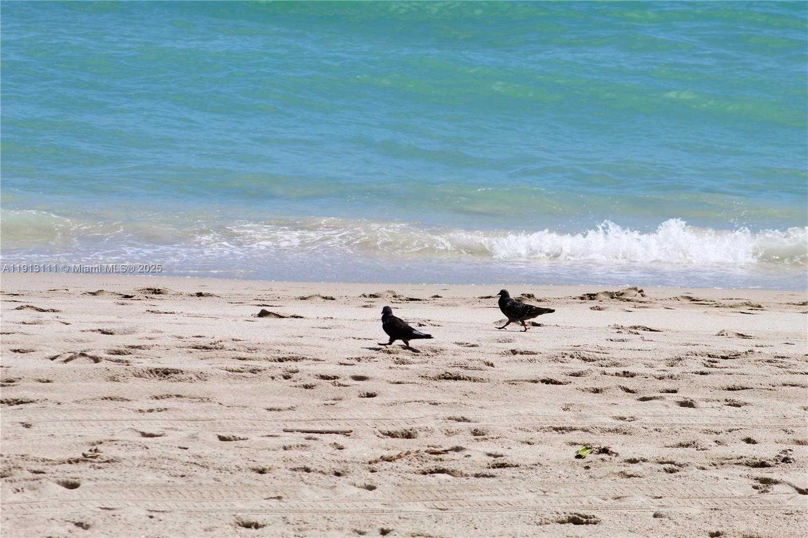 Small Image of 2030 SOUTH OCEAN DR #821, Hallandale Beach Number 41