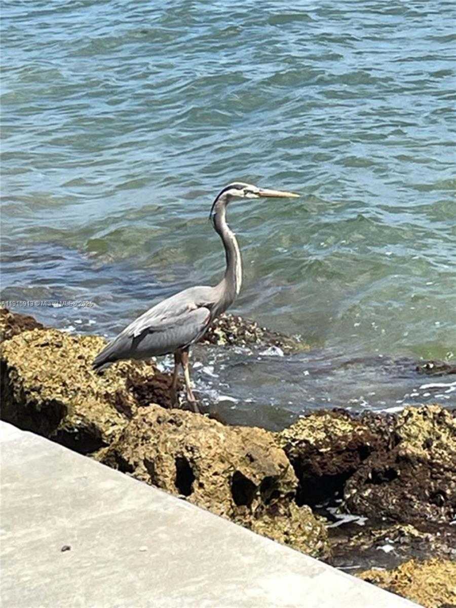 Small Image of 540 BRICKELL KEY DR #1120, Miami Number 26