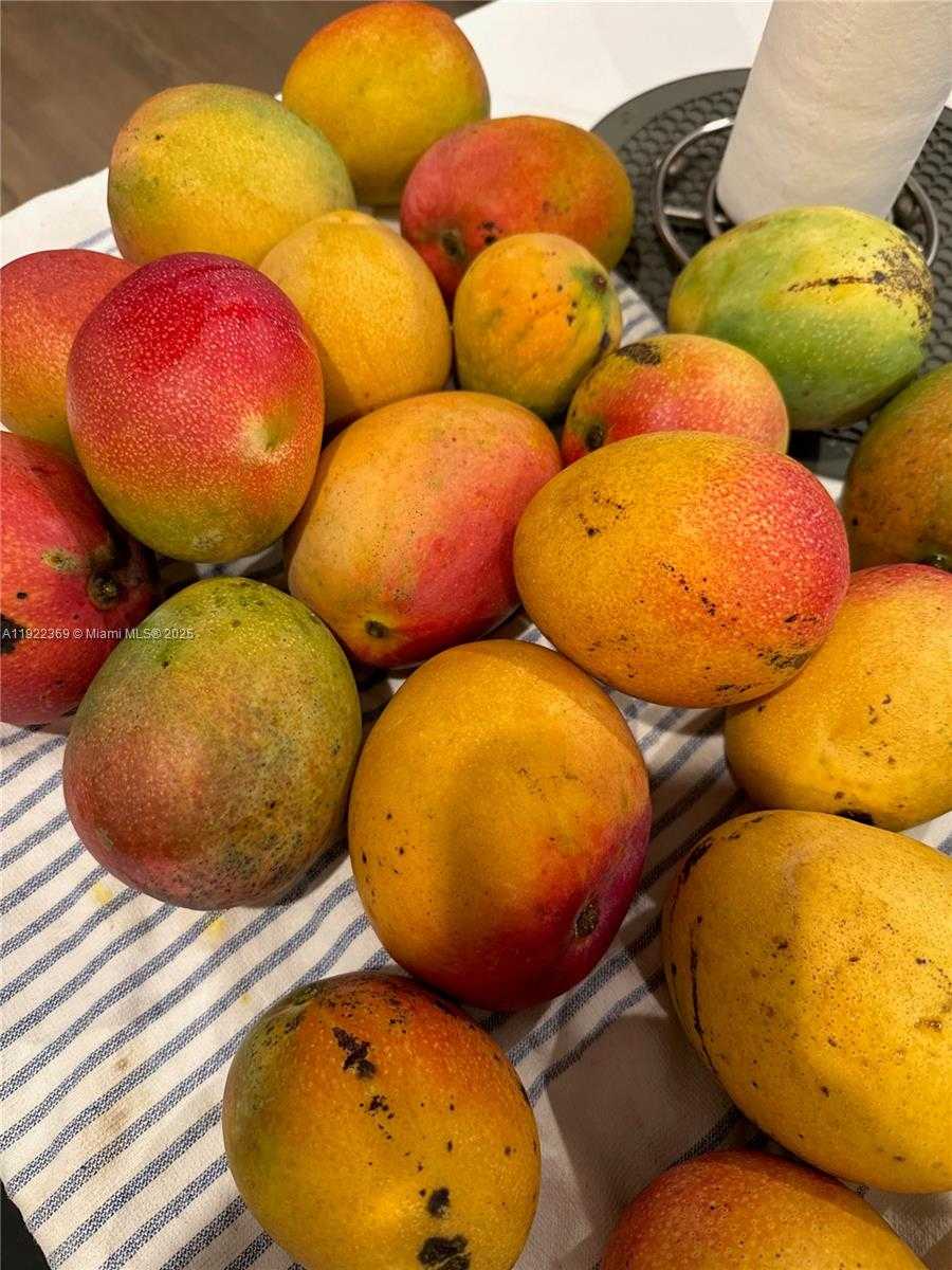 Small Image of 7915 SOUTH WEST 23RD ST, Miami Number 19