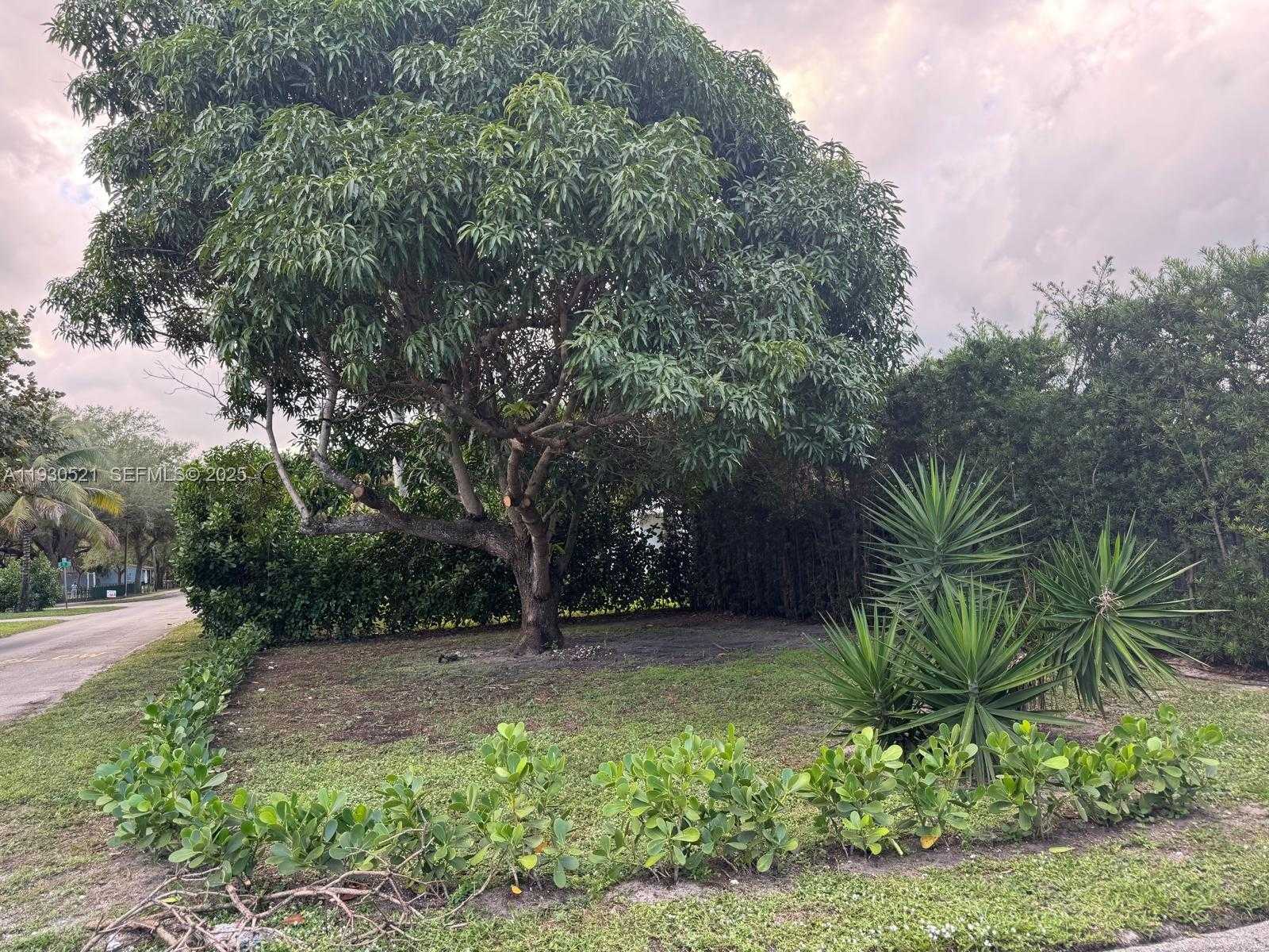 Small Image of 985 NORTH EAST 115TH ST, Biscayne Park Number 39