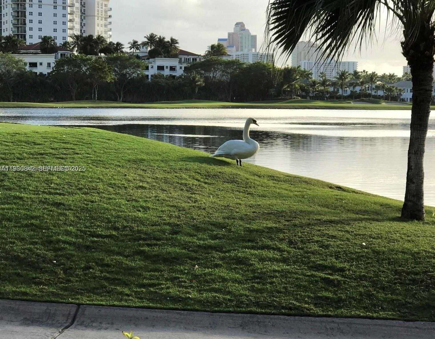 Imagen de Pequeño Objeto