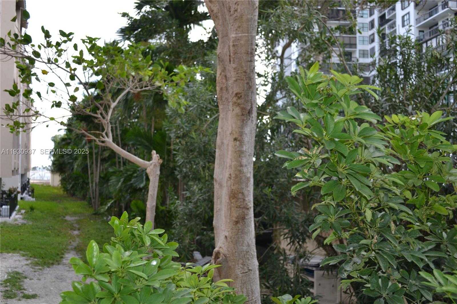 Small Image of 2201 BRICKELL AVE #8, Miami Number 7