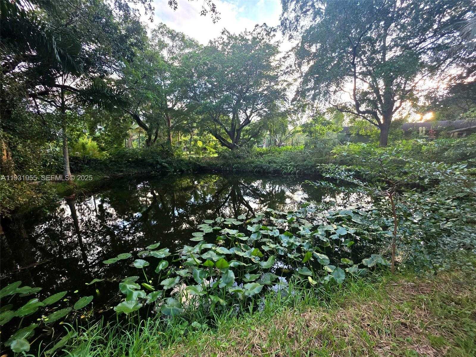 Small Image of Davie Number 31