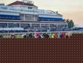 Small Image of 329 SOUTH EAST 3RD ST #502S, Hallandale Beach Number 54