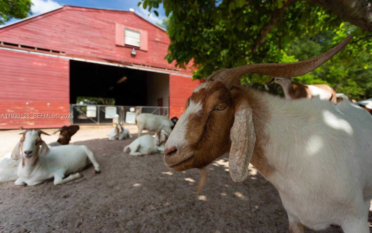 Small Image of 895 WEST 79TH PL, Hialeah Number 33