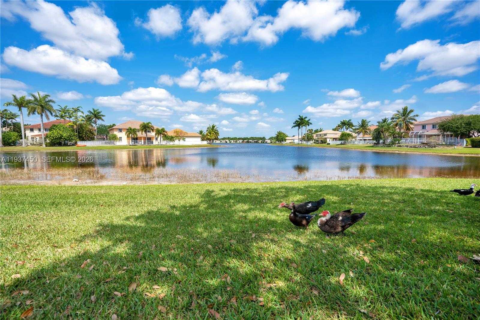 Small Image of 1570 ELM GROVE RD, Weston Number 38