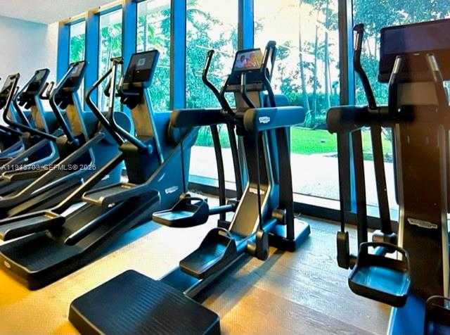 Small Image of Miami Number 23