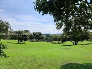 Small Image of Out of City Number 13