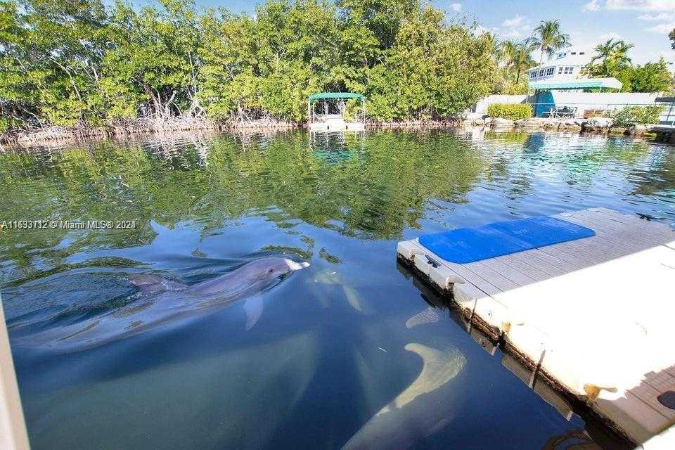 Small Image of 101910 OVERSEAS HWY, Key Largo Number 19