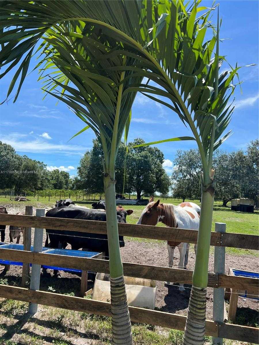 Small Image of 14721 ARBUCKLE CREEK RD, Sebring Number 24