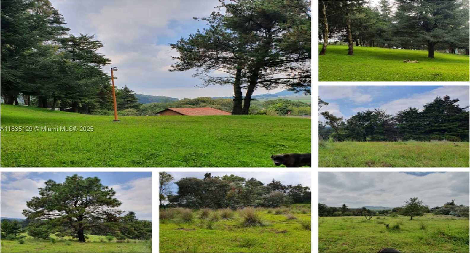 Small Image of 31 CARRETERA FEDERAL A CUERNAVACA, Other Country - Not In USA Number 10