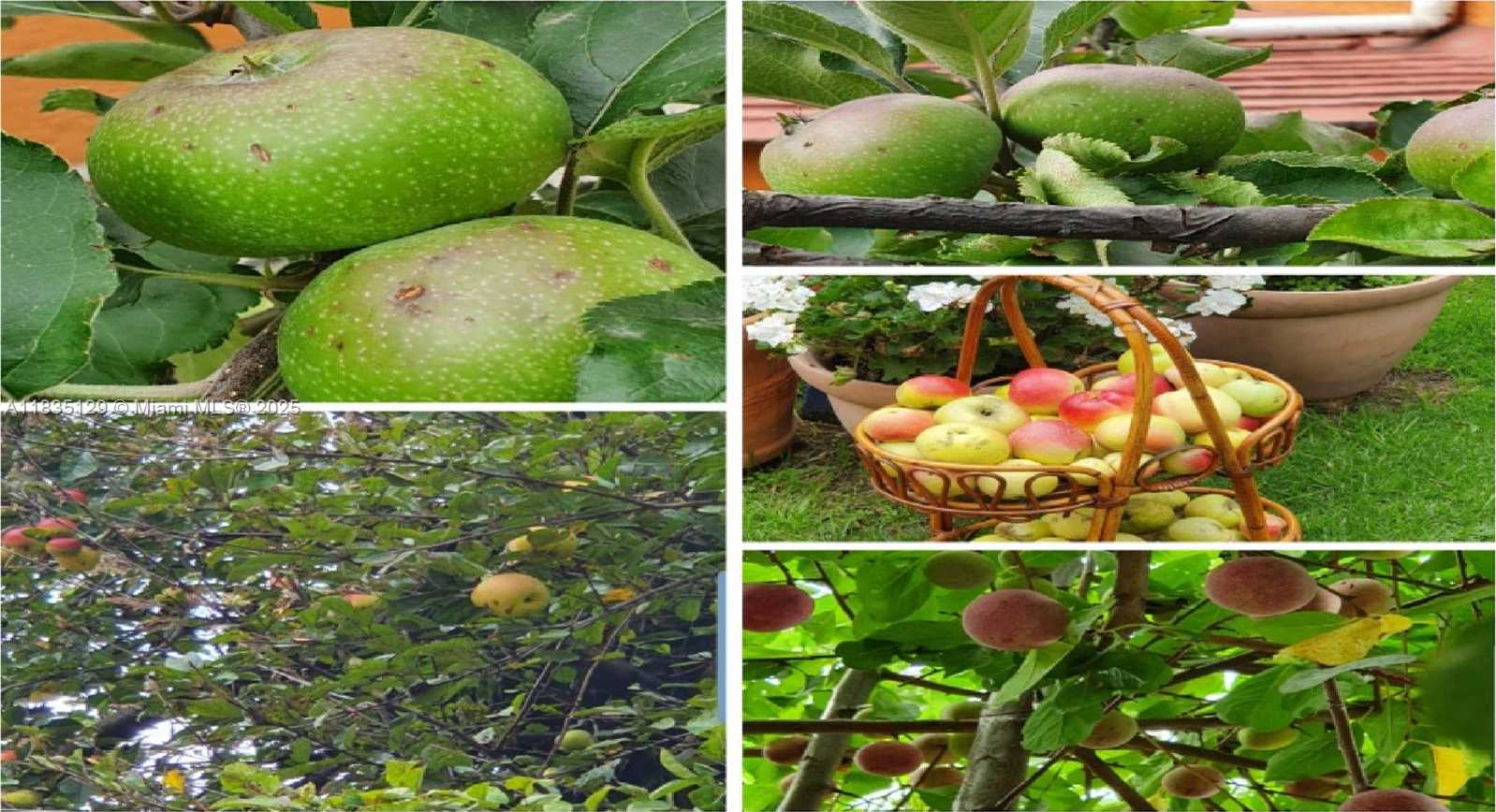 Small Image of 31 CARRETERA FEDERAL A CUERNAVACA, Other Country - Not In USA Number 11