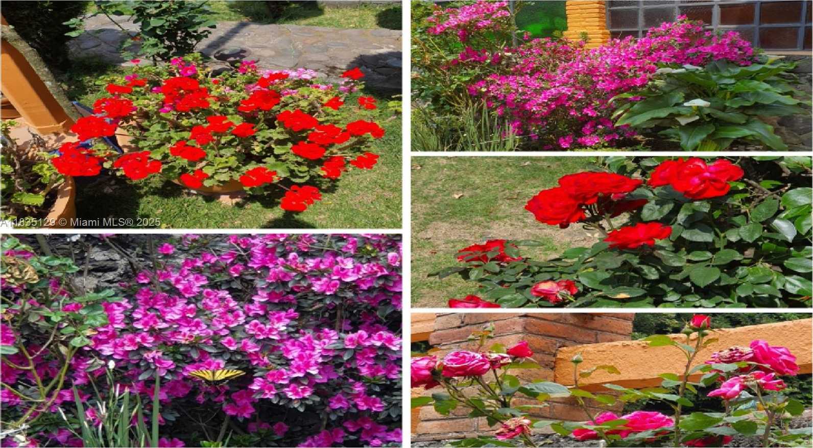 Small Image of 31 CARRETERA FEDERAL A CUERNAVACA, Other Country - Not In USA Number 12