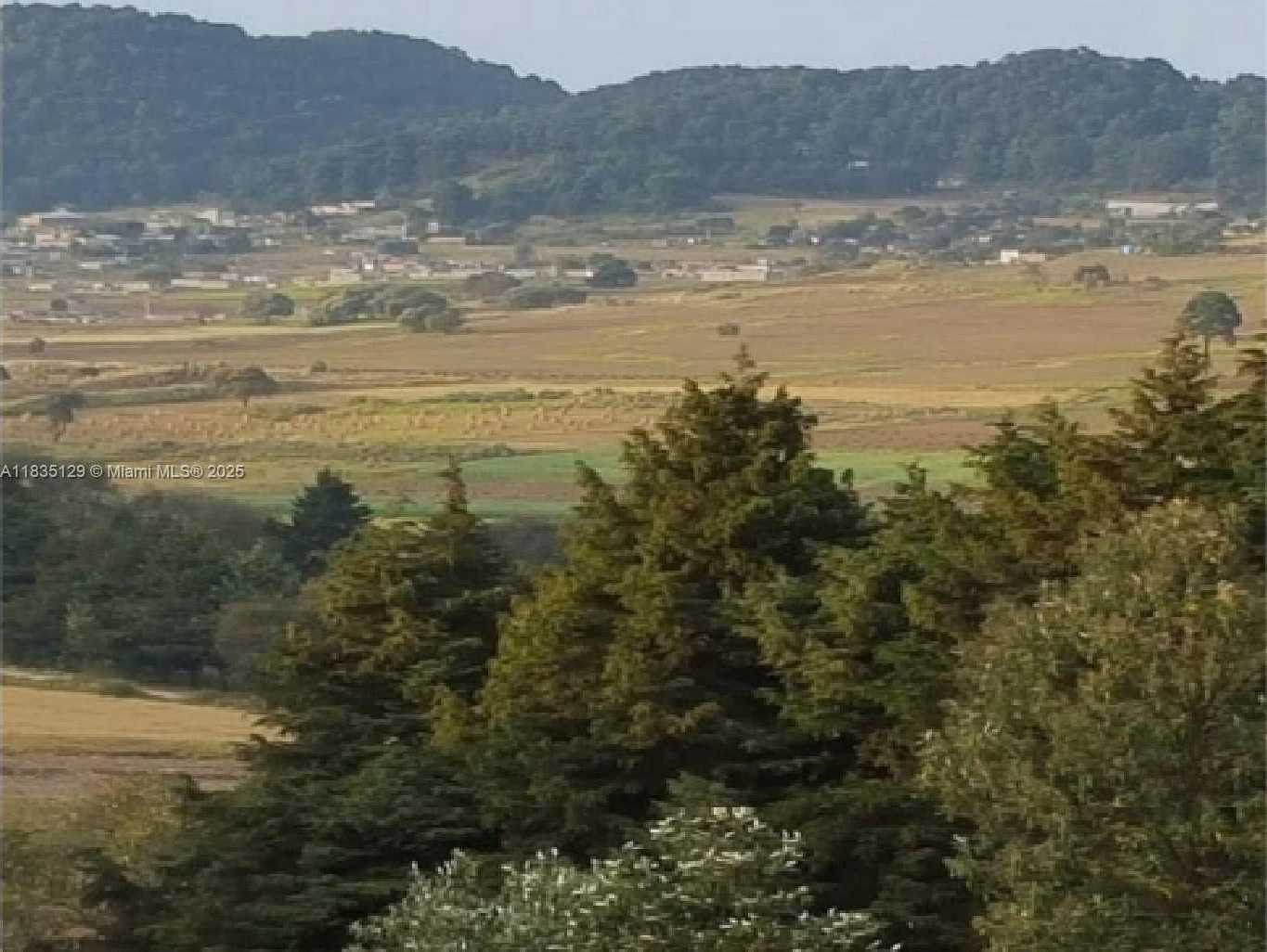 Small Image of 31 CARRETERA FEDERAL A CUERNAVACA, Other Country - Not In USA Number 7