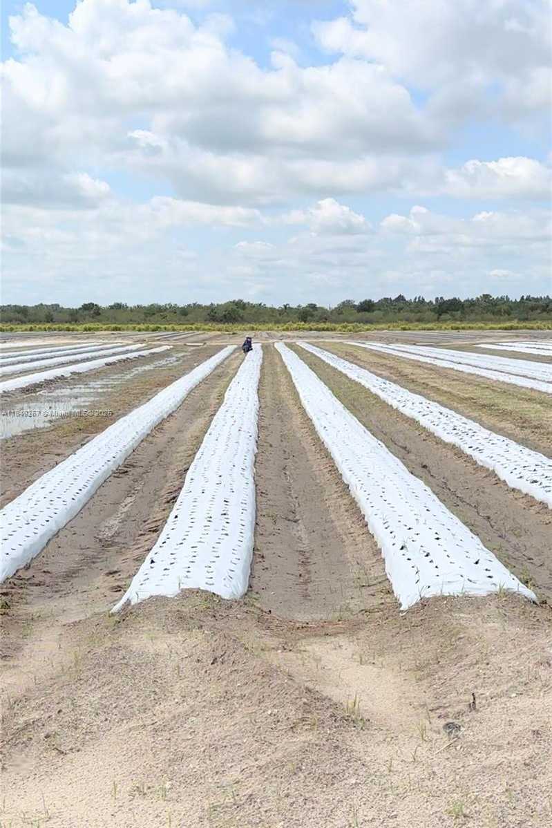 Small Image of 595 NORTH HEADER CANAL ROAD, Fort Pierce Number 24