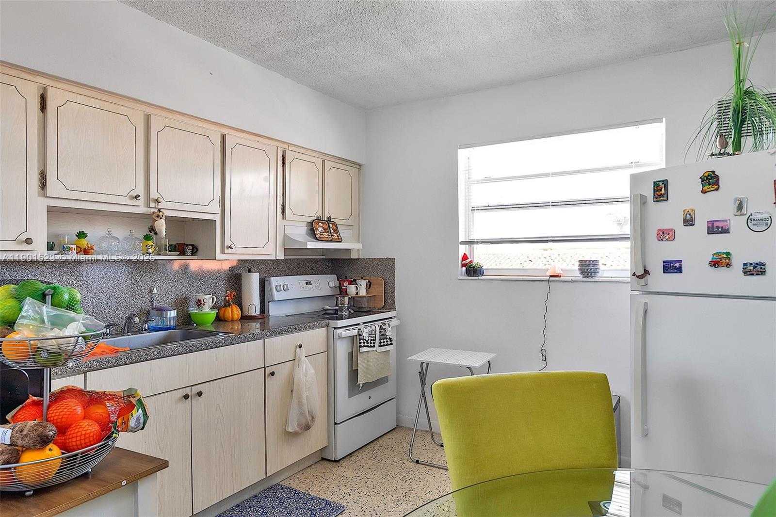 Small Image of 225 SOUTH WEST 18TH AVE, Miami Number 13