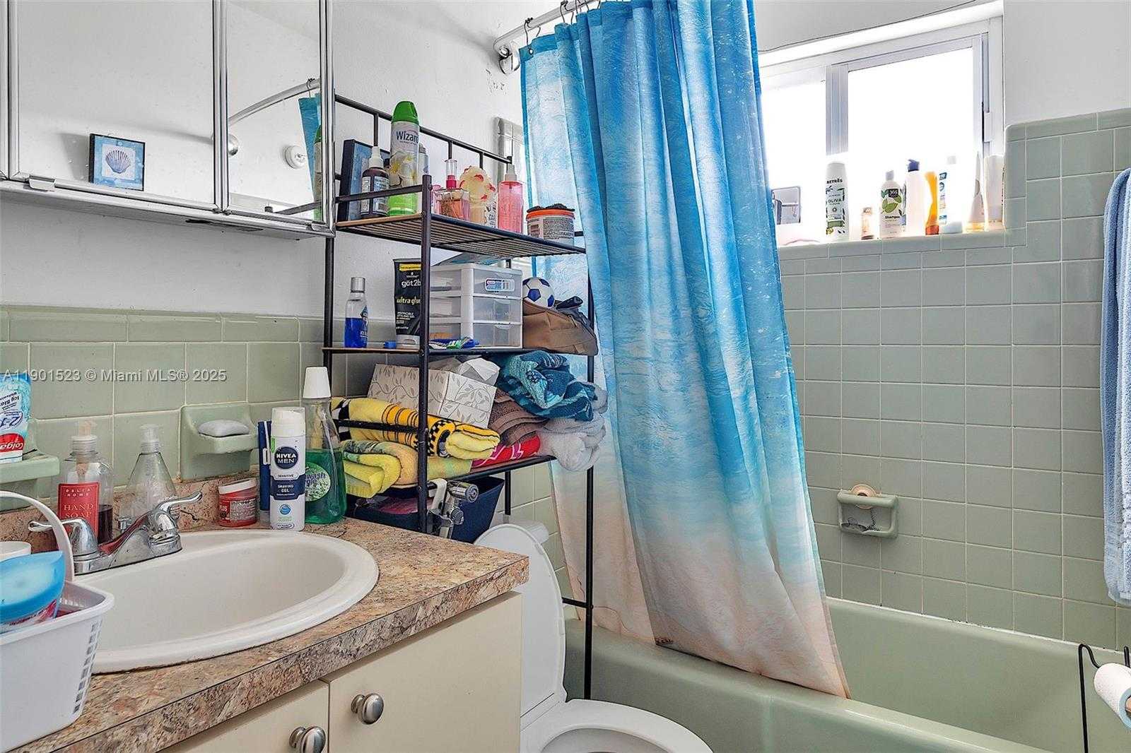 Small Image of 225 SOUTH WEST 18TH AVE, Miami Number 17