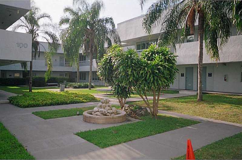 Small Object Image