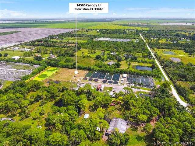 Small Image of 14506 CANOPY, Clewiston Number 14