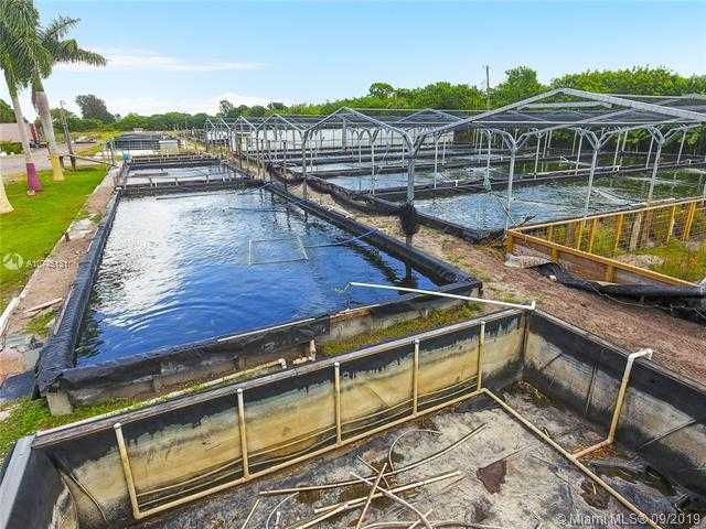 Small Image of 14506 CANOPY, Clewiston Number 18