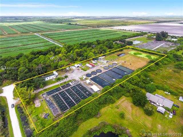 Small Image of 14506 CANOPY, Clewiston Number 20
