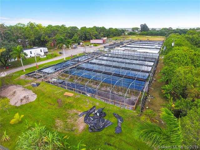 Small Image of 14506 CANOPY, Clewiston Number 21