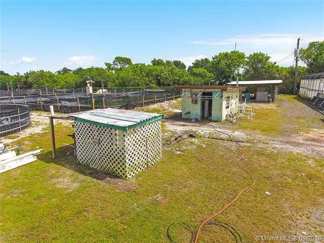 Small Image of 14506 CANOPY, Clewiston Number 27