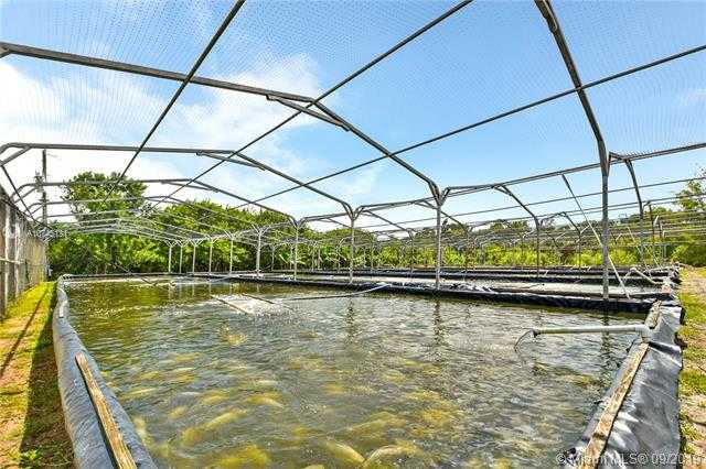 Small Image of 14506 CANOPY, Clewiston Number 29