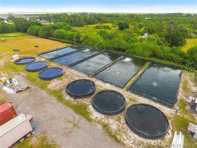 Small Image of 14506 CANOPY, Clewiston Number 30