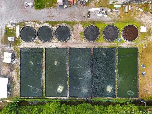 Small Image of 14506 CANOPY, Clewiston Number 31