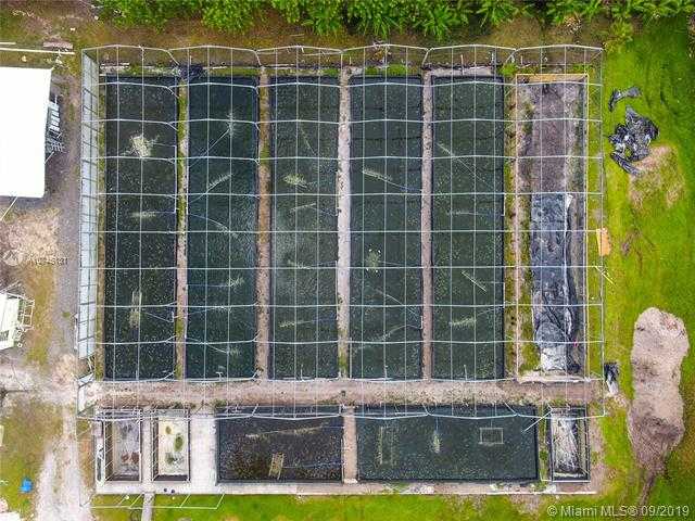 Small Image of 14506 CANOPY, Clewiston Number 32