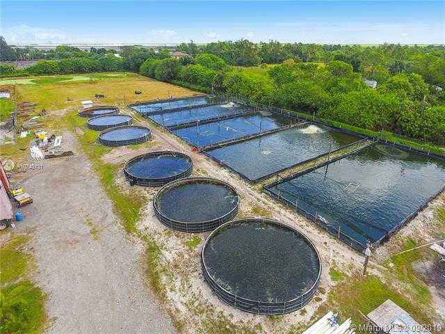Small Image of 14506 CANOPY, Clewiston Number 33