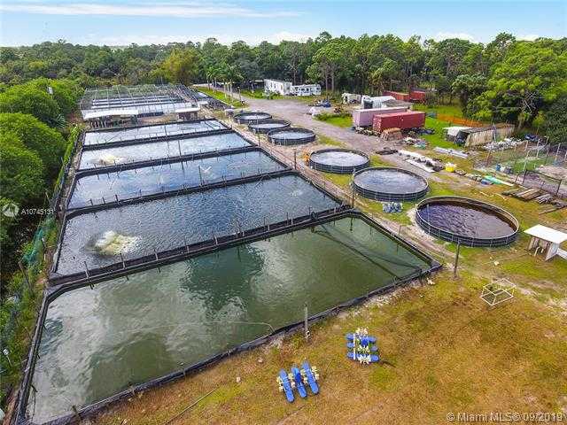 Small Image of 14506 CANOPY, Clewiston Number 6