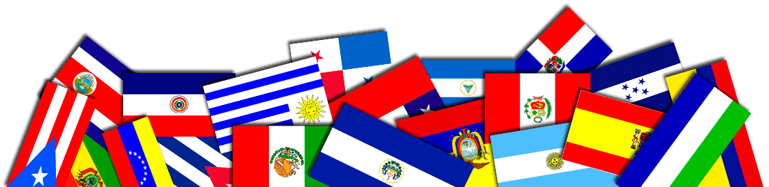 IDX website - spanish version with human translation